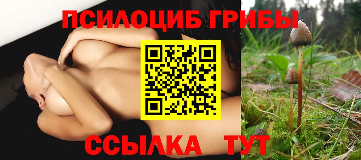 Псилоцибиновые грибы Magic Shrooms  наркошоп  Хасавюрт  Вход с VPN 
