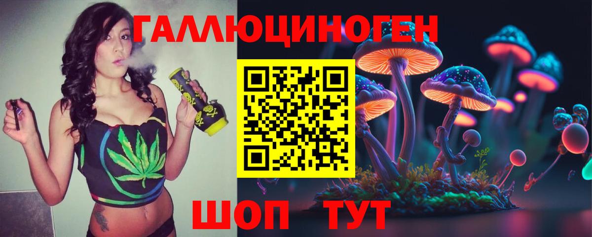 Псилоцибиновые грибы Cubensis Хасавюрт